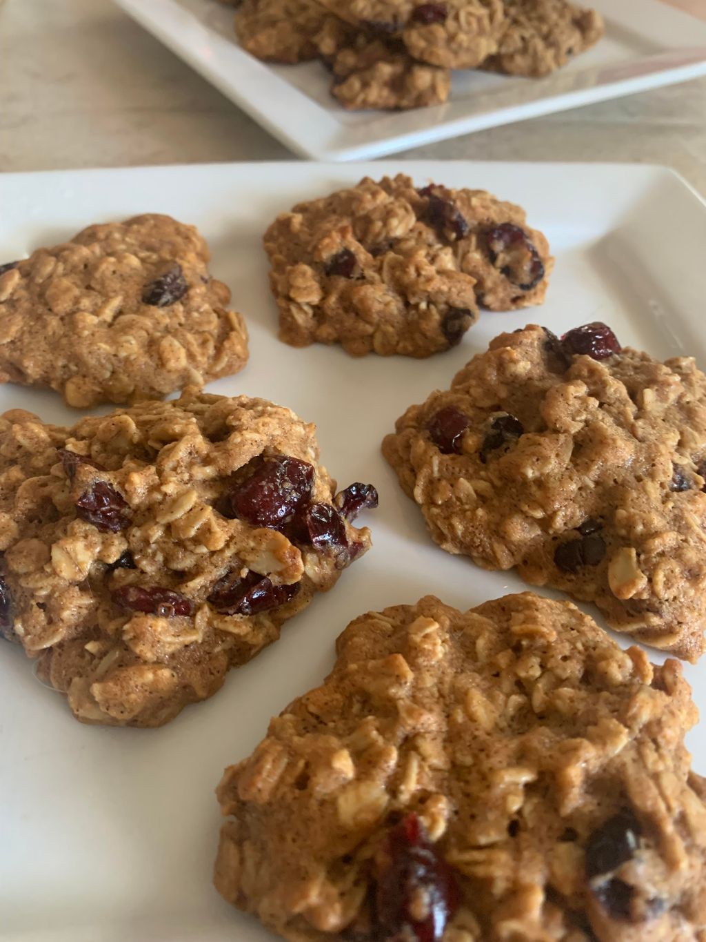 Healthy Homemade Oatmeal Cookies with Honey and Cranberries Recipe