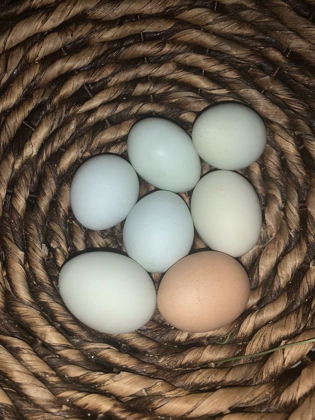 Eggs: The Ultimate Superfood for Nourishing Your Body and Mind